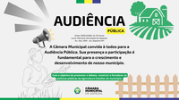 Audiência Pública 