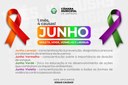 CAMPANHAS JUNHO LARANJA, VERMELHO, VERDE E VIOLETA